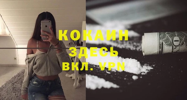 ECSTASY Богданович