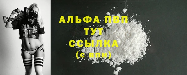 гидра Богородицк
