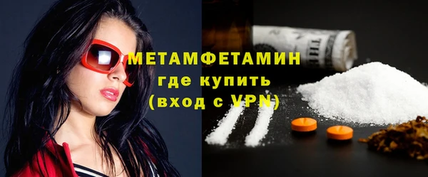 гидра Богородицк