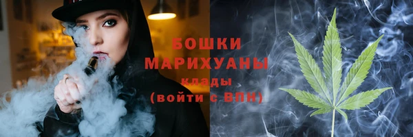 ECSTASY Богданович