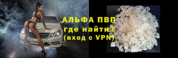 ECSTASY Богданович