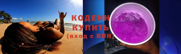ECSTASY Богданович