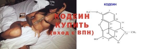 ECSTASY Богданович