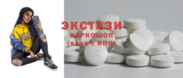 гидра Богородицк