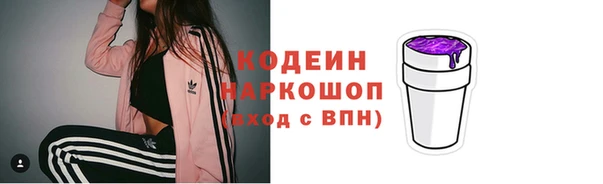 ECSTASY Богданович