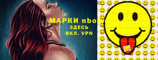 ECSTASY Богданович
