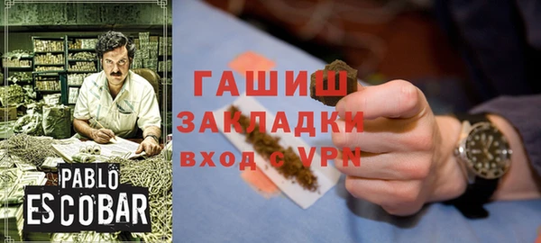 гидра Богородицк