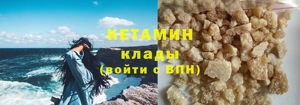 гидра Богородицк