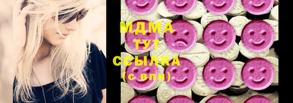 гидра Богородицк