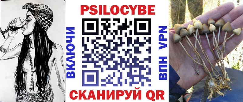 Псилоцибиновые грибы мицелий Березники